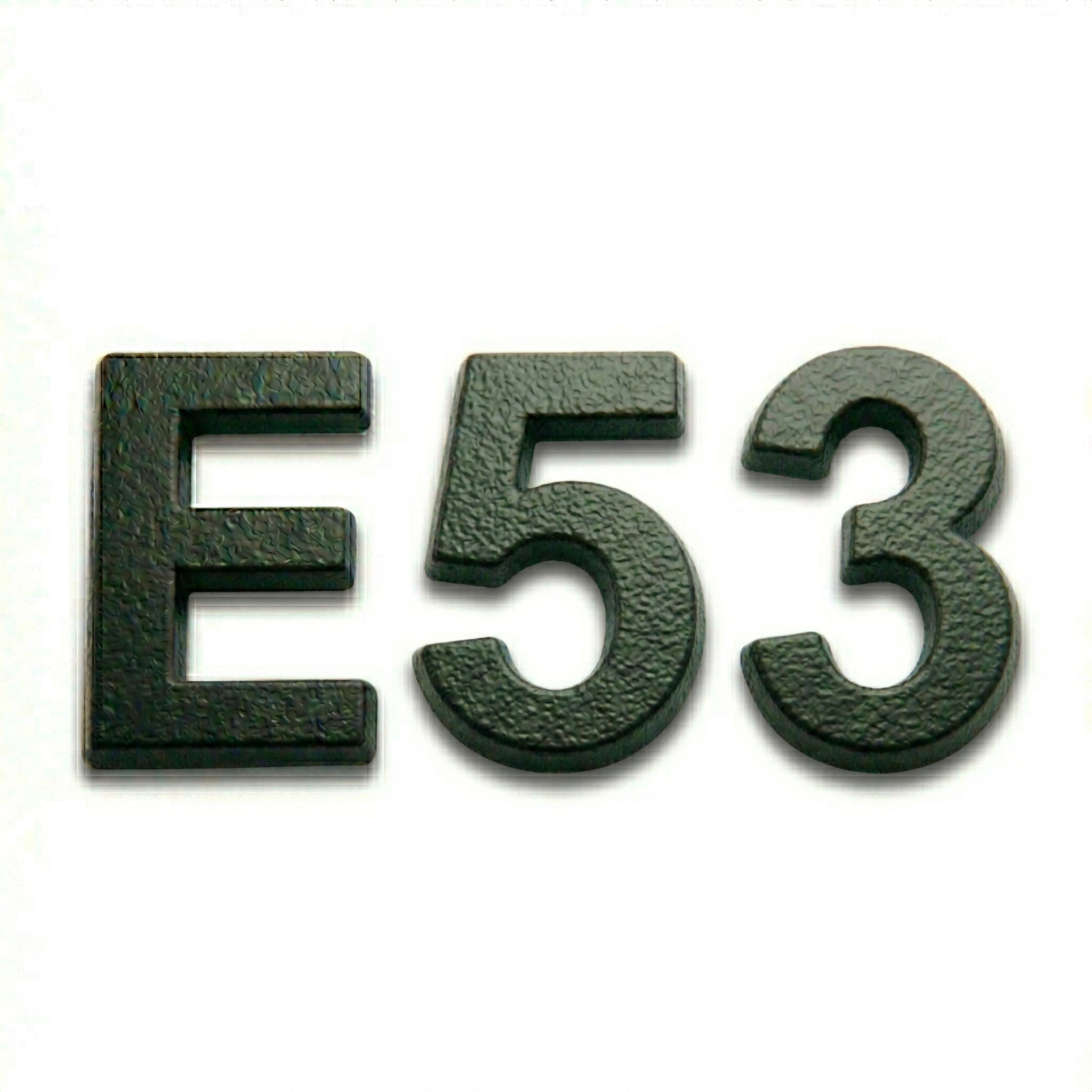 BMW E53